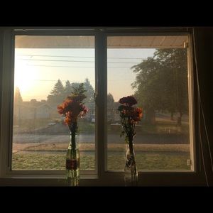 Meet your Posher, Karina